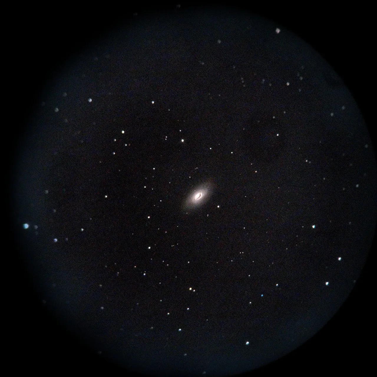 M64