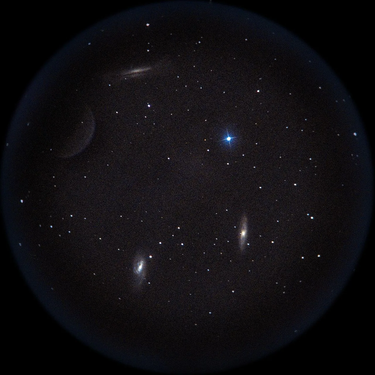 Leo Triplett