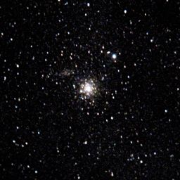 M69