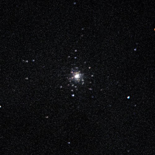 M79