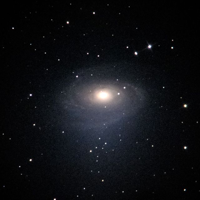 M81