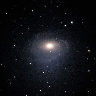 M81