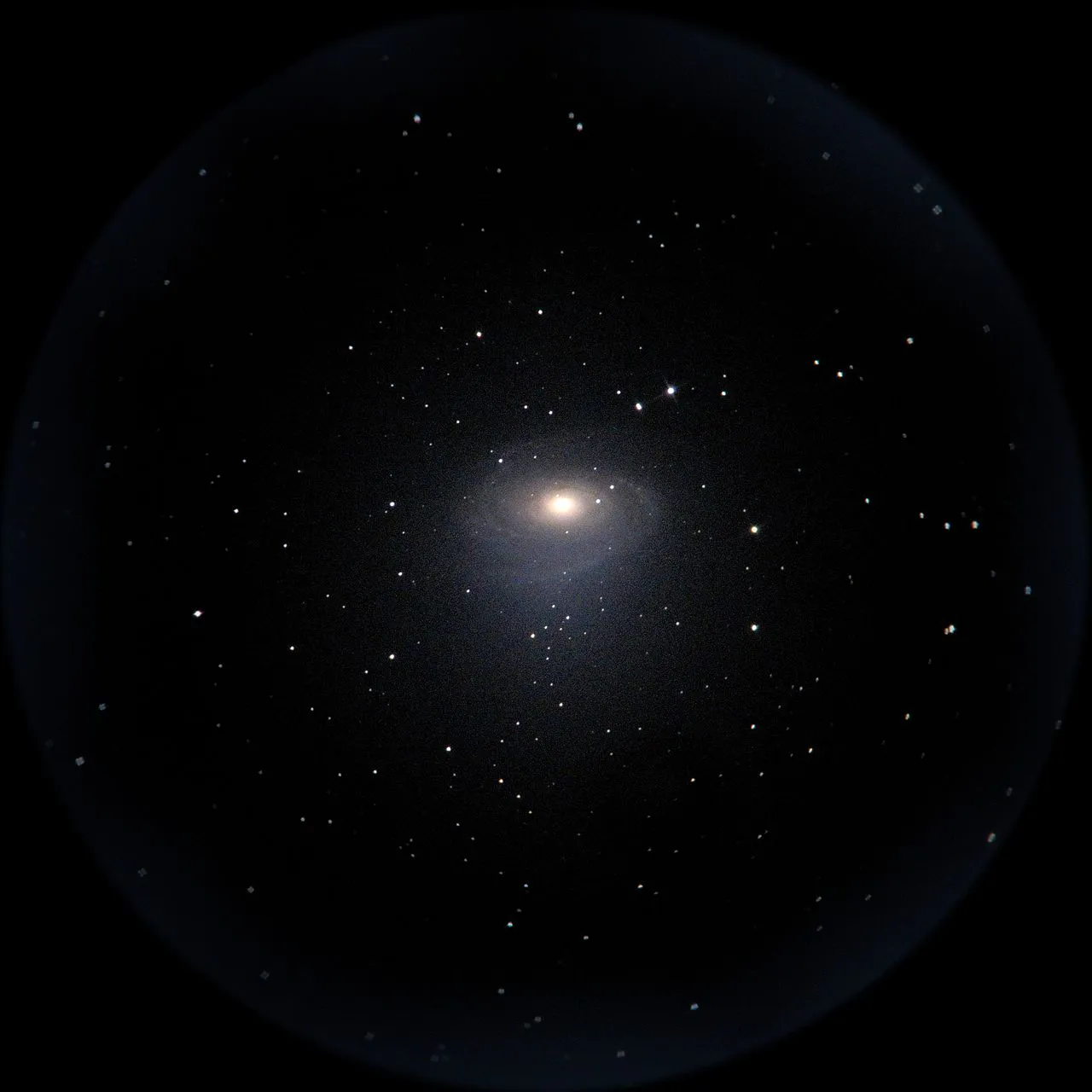 M81