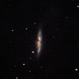 M82