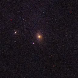 M85