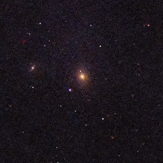 M85