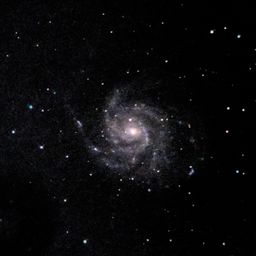 M101