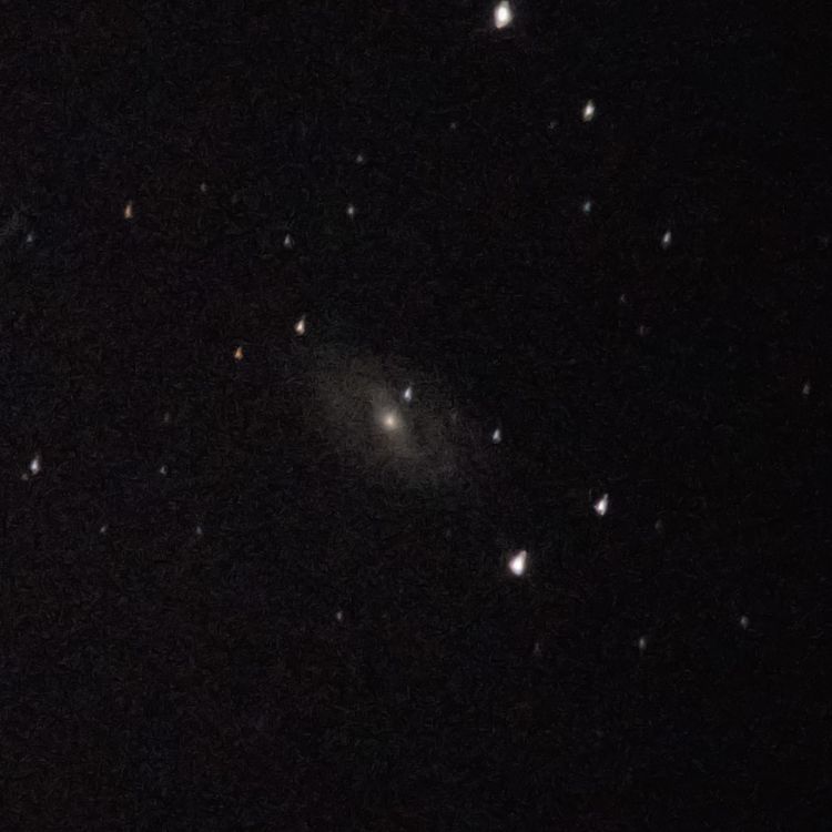 M109