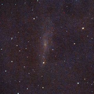 NGC247