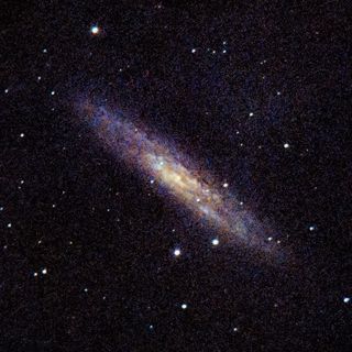 NGC253
