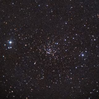 NGC559