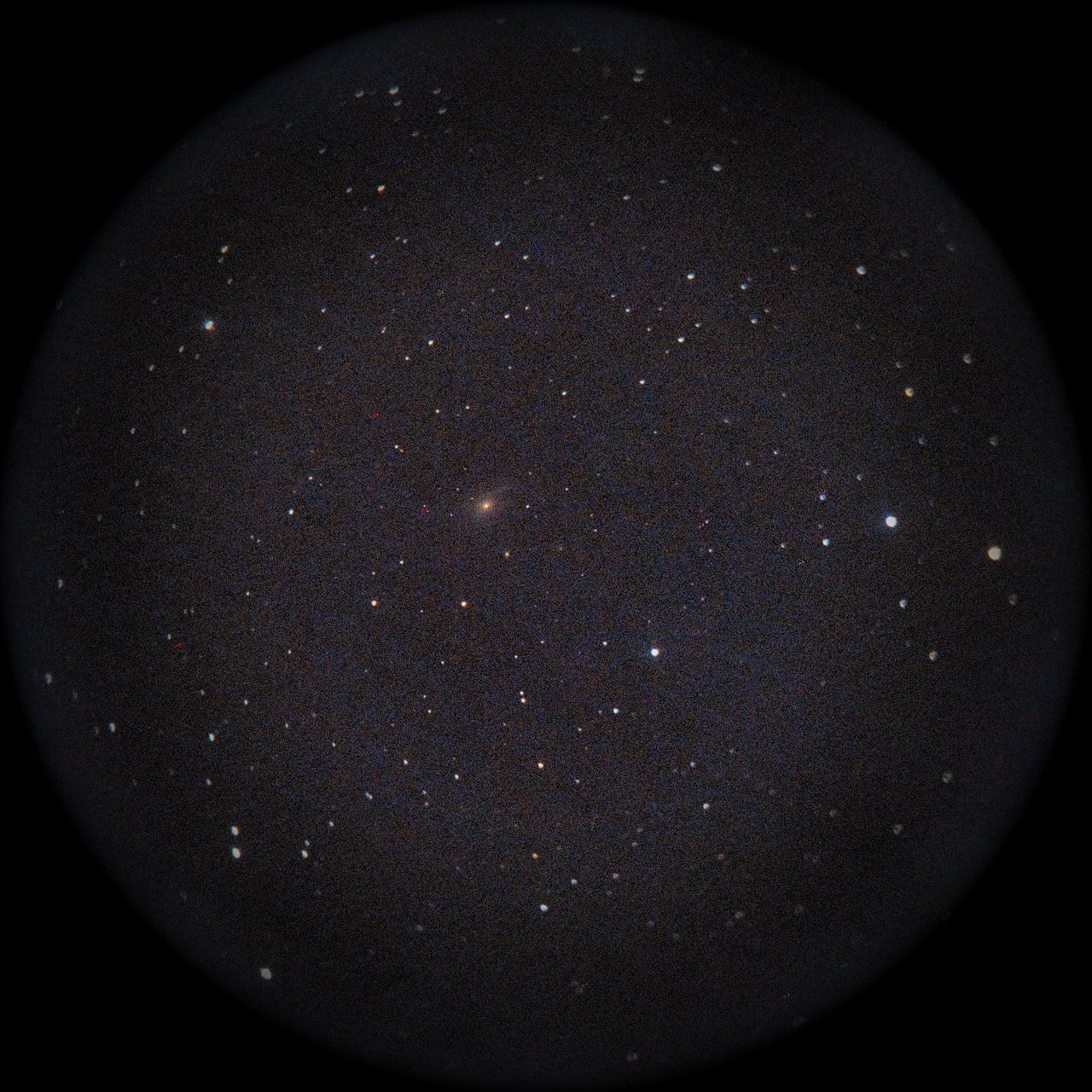 Image of NGC772