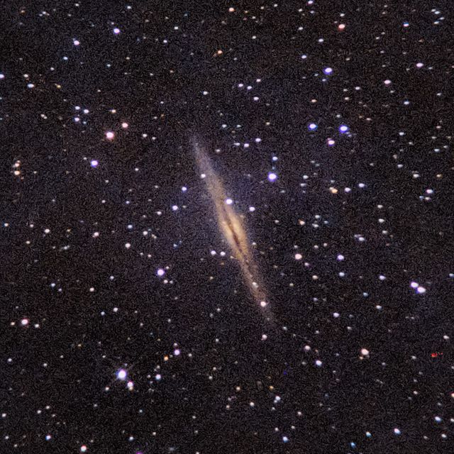 NGC891