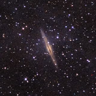 NGC891