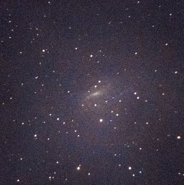 NGC925