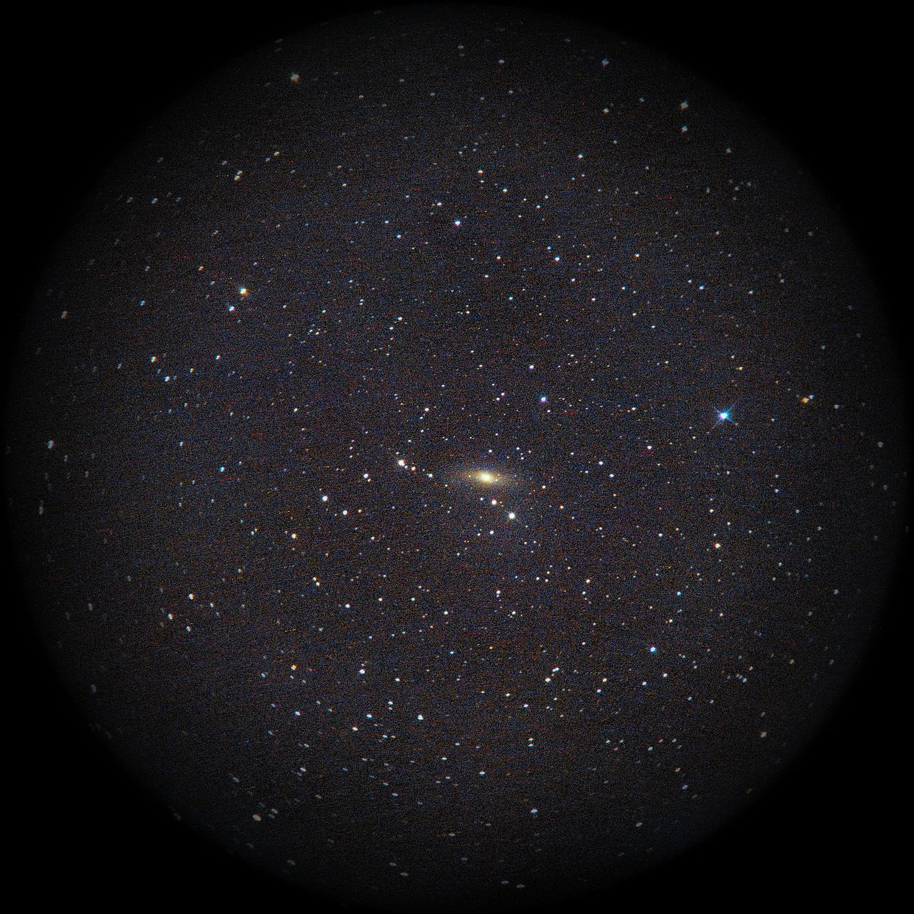Image of NGC1023