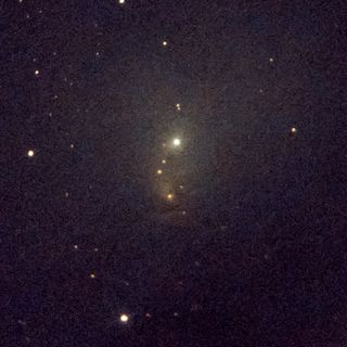 NGC1333