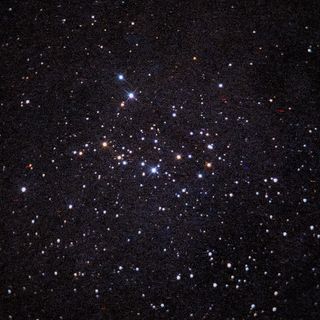 NGC1342