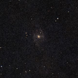 NGC1365
