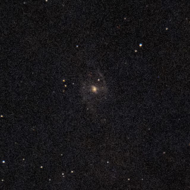 NGC1365