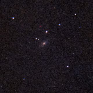 NGC1425