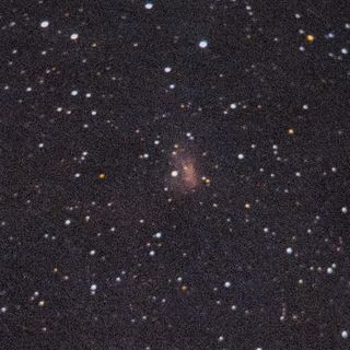 NGC1491