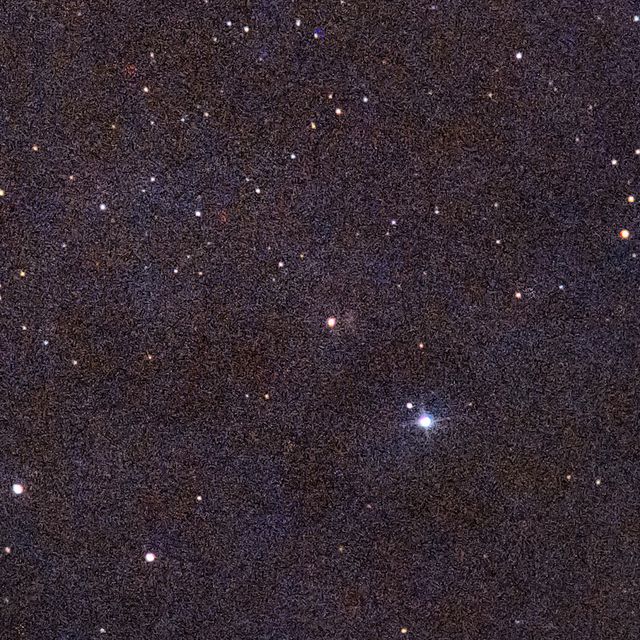 NGC1555