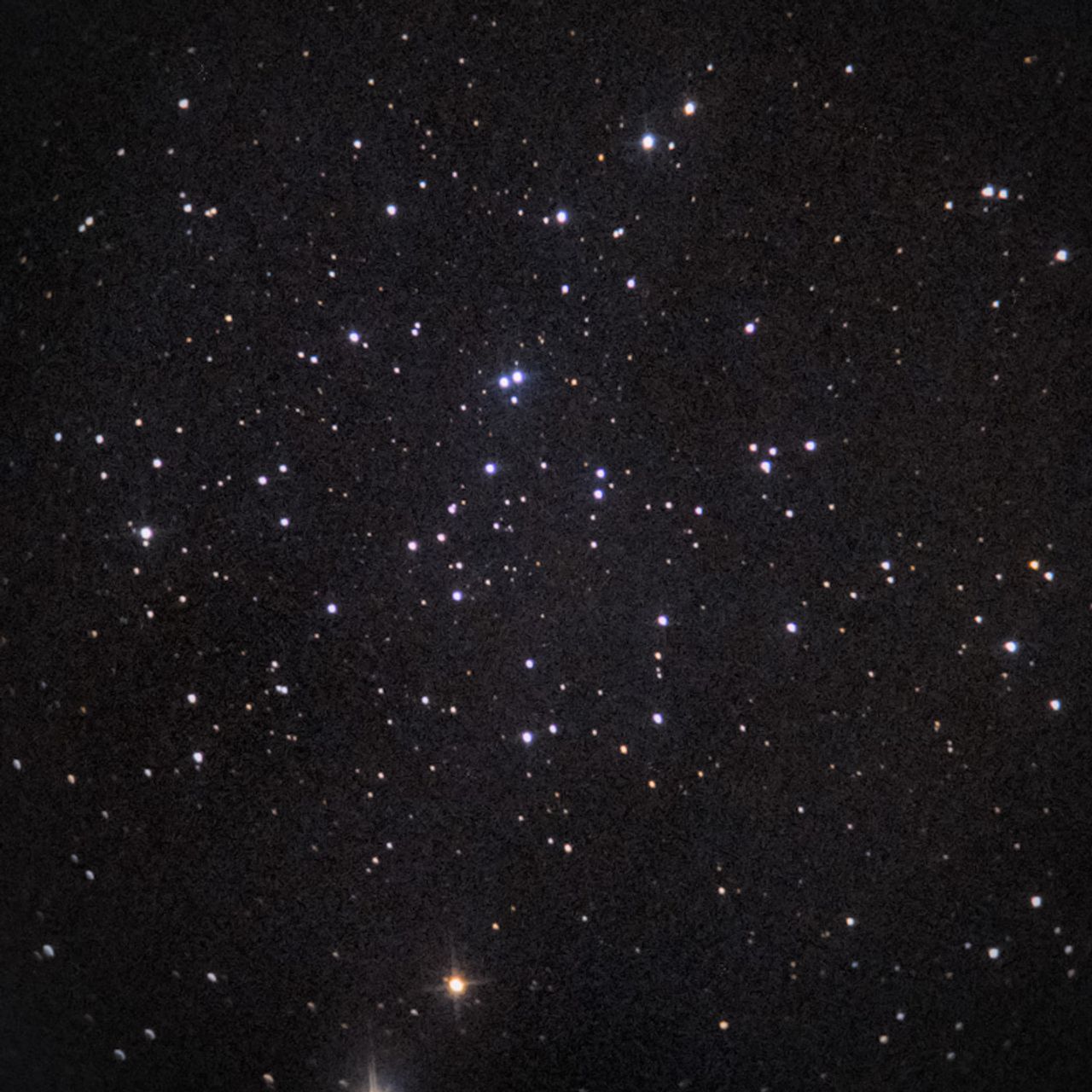 NGC1647