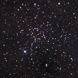 NGC1664