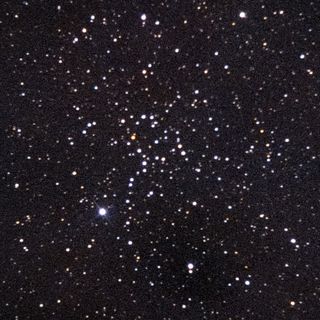 NGC1664