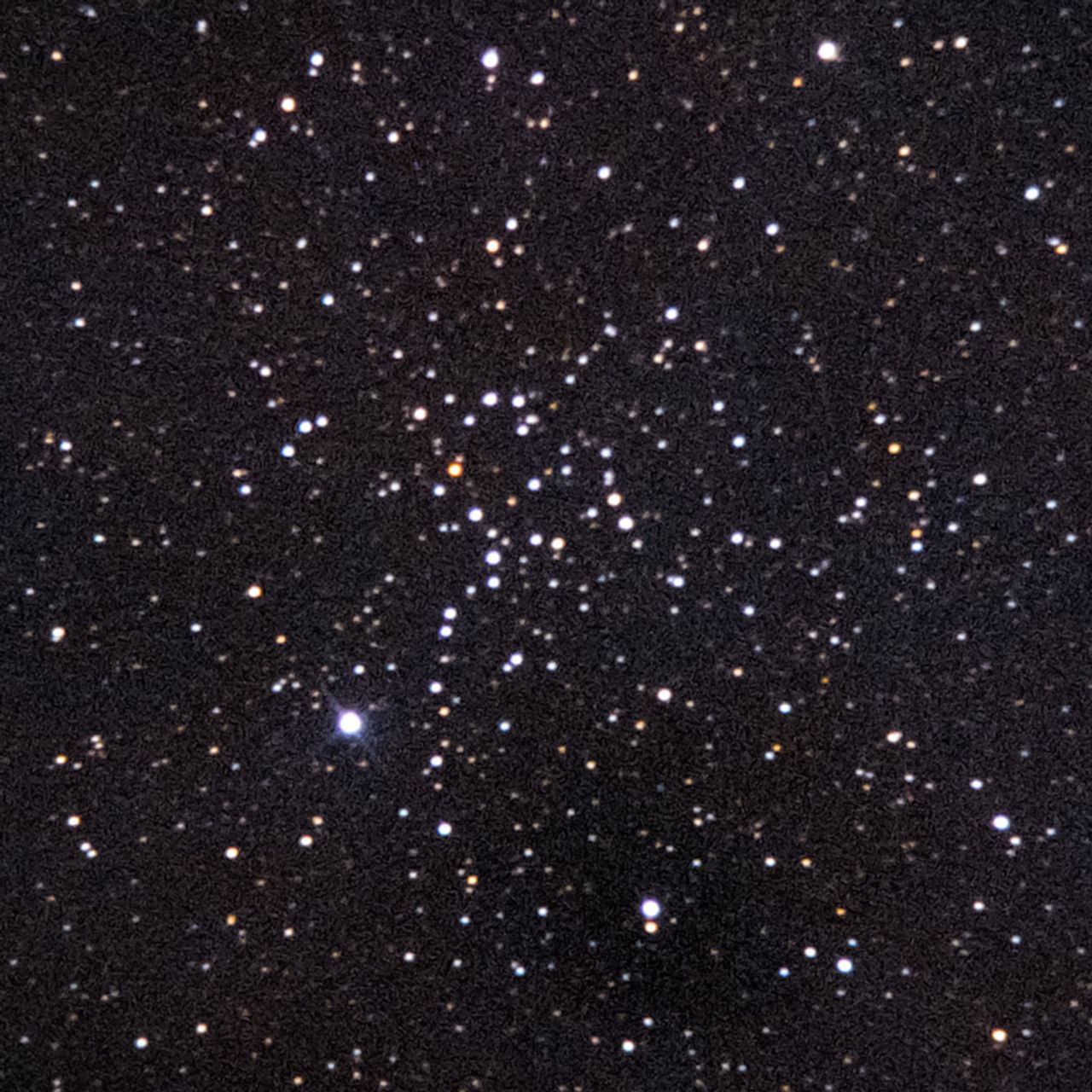 NGC1664