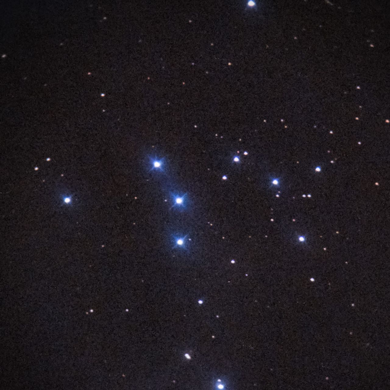 NGC1981
