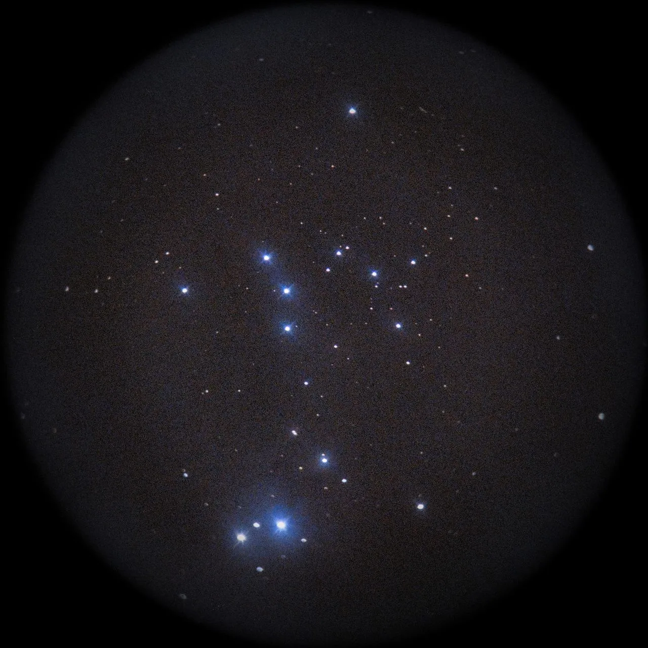 SAKURA🌸Kirschblüte撮影：スマホコリメート法によるNGC1981(License: AI Learnable)