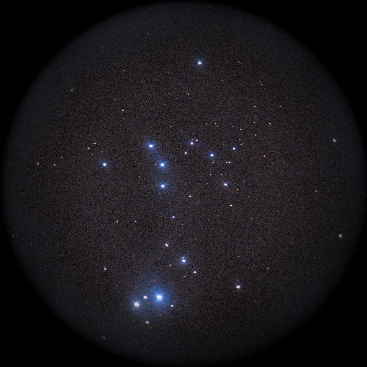 Image of NGC1981