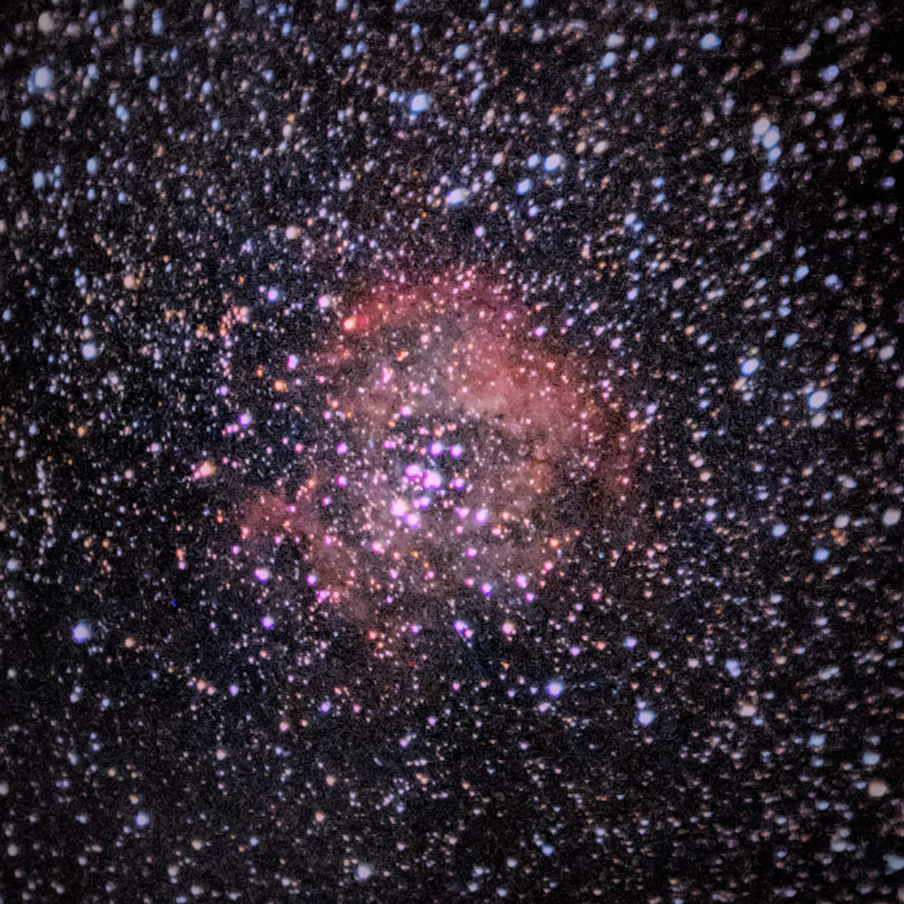 NGC2137-9
