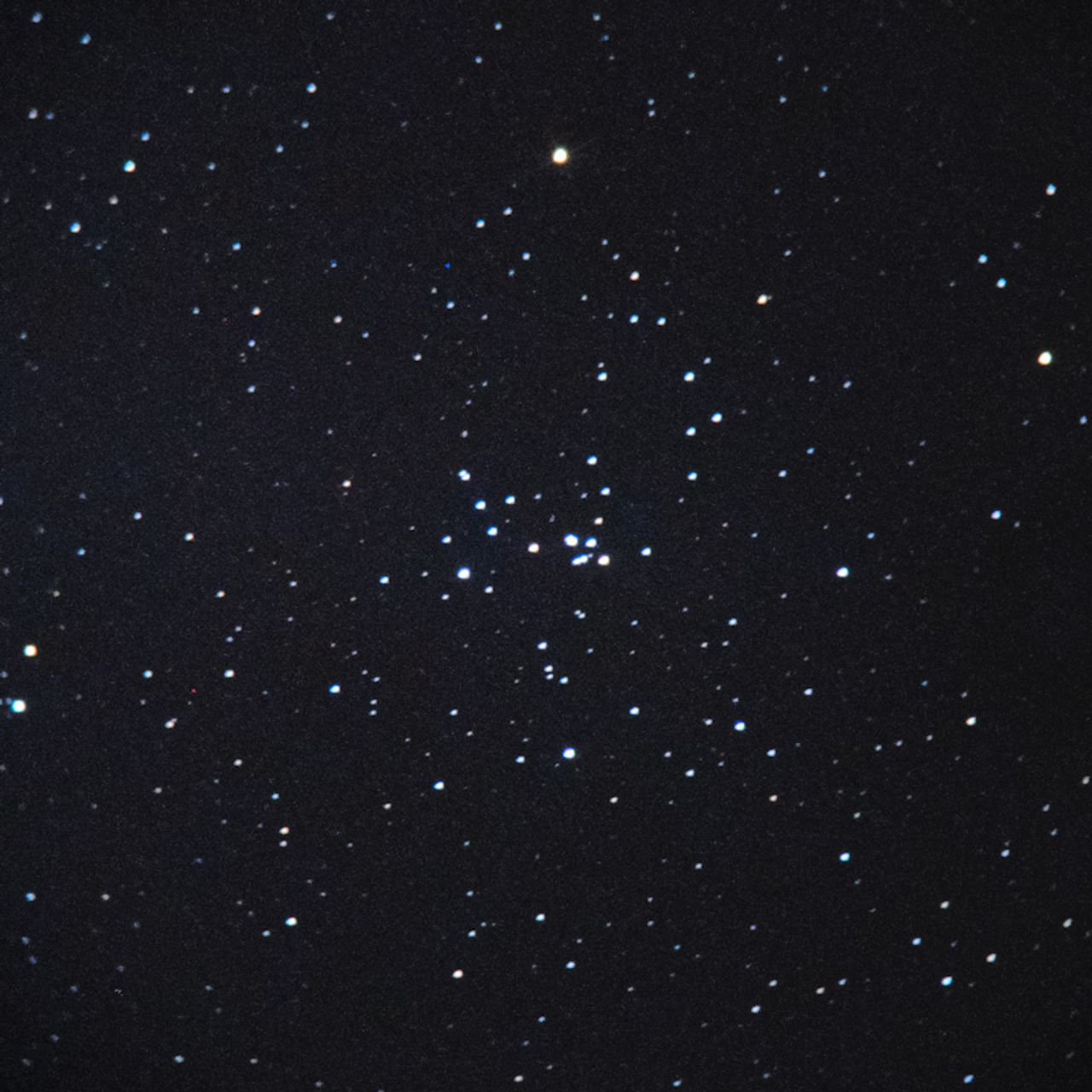 NGC2281