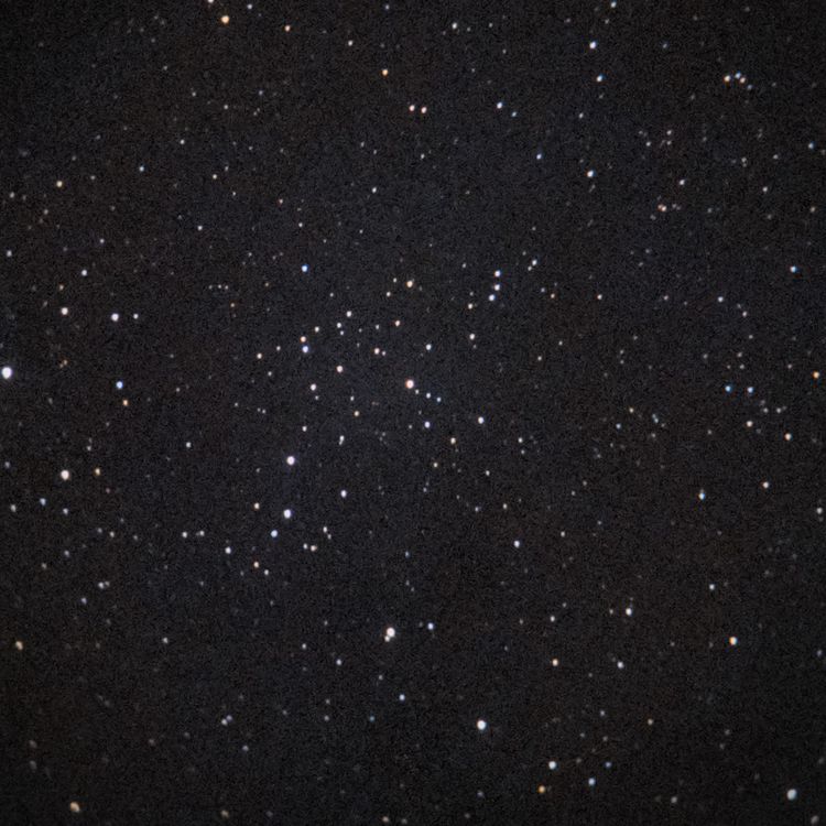 NGC2395