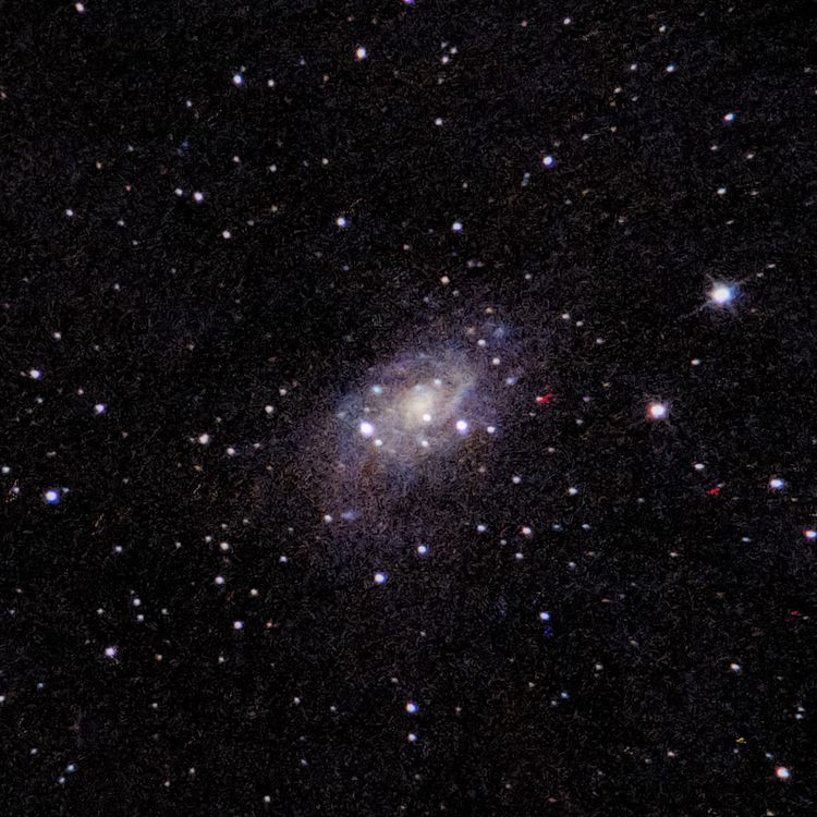 NGC2403 captured through a telescope eyepiece using a smartphone camera - Afocal Astrophotography