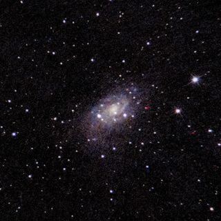 NGC2403
