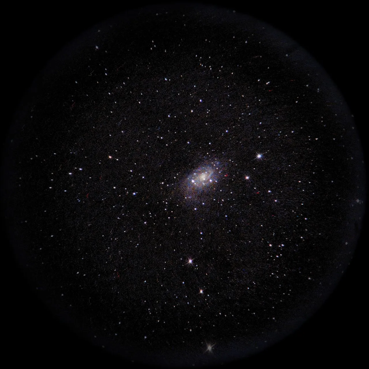 Image of NGC2403