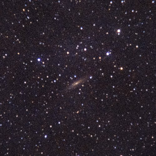 NGC2613