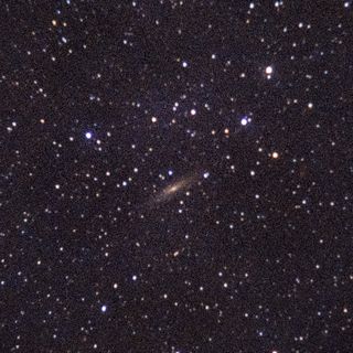 NGC2613