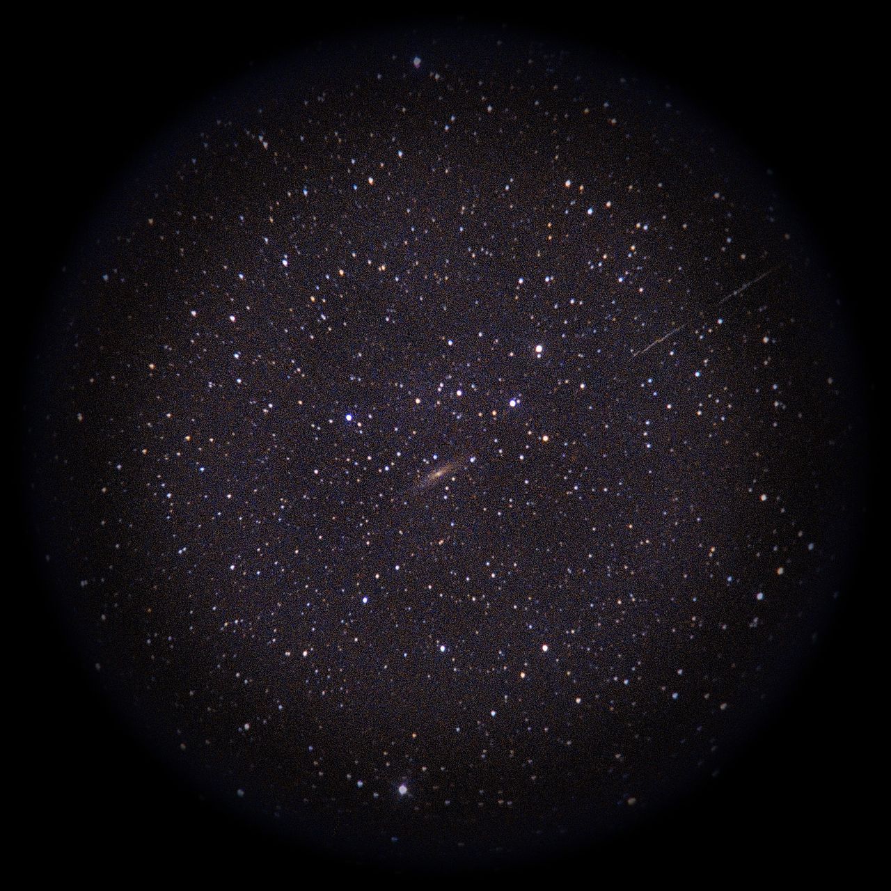Image of NGC2613