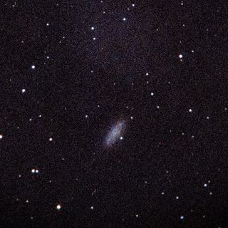 NGC2976