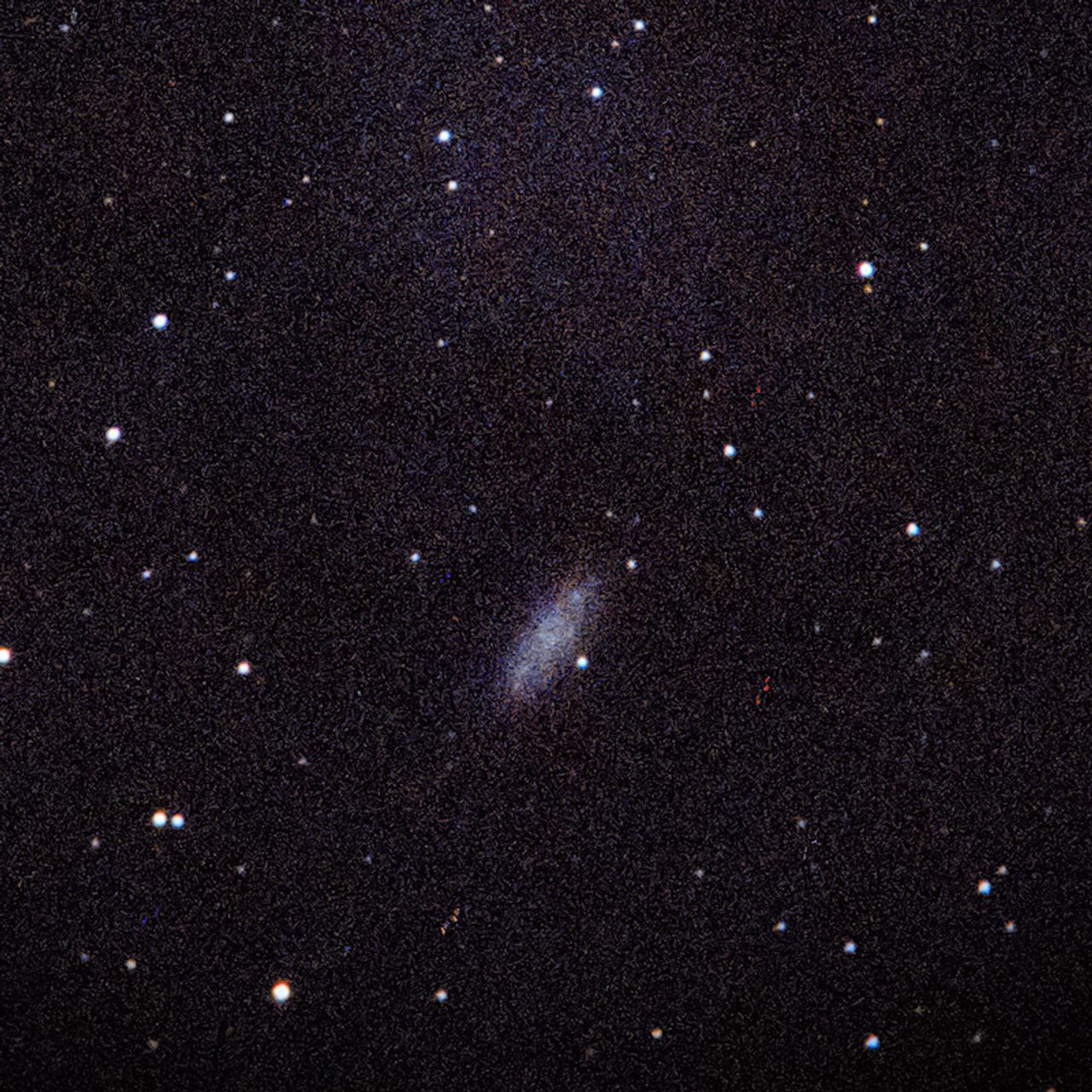 NGC2976