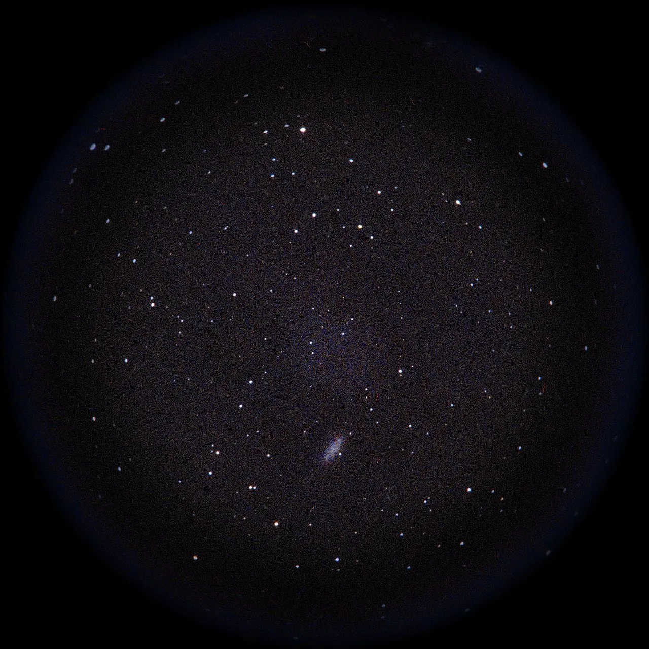 Image of NGC2976