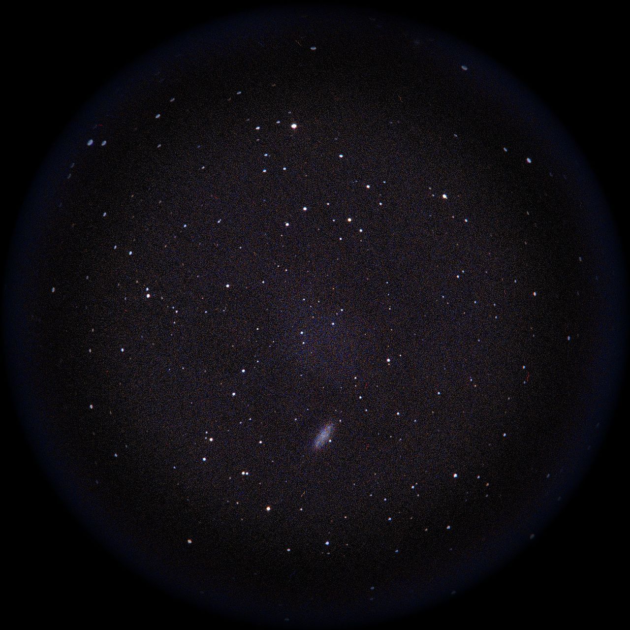 Image of NGC2976
