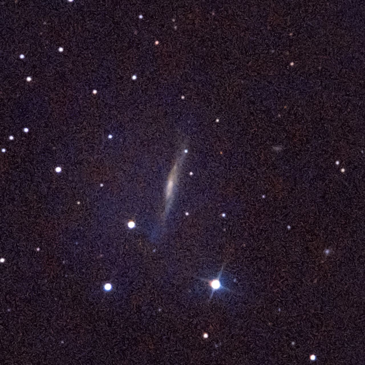 NGC3079