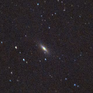 NGC3115