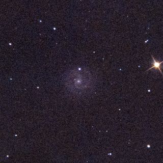 NGC3184